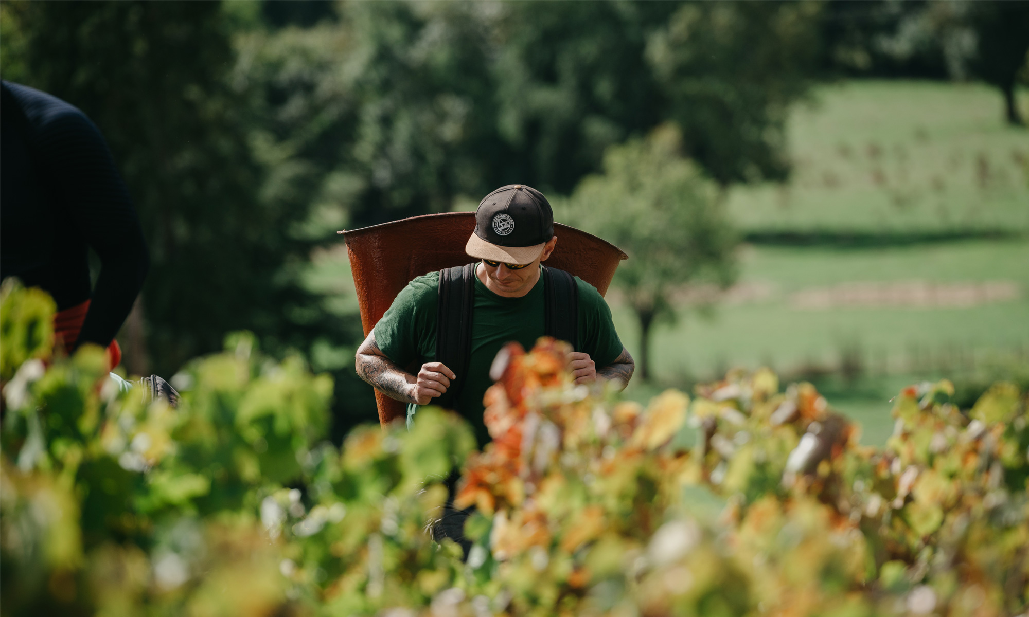 Domaine Joly - Beaujolais